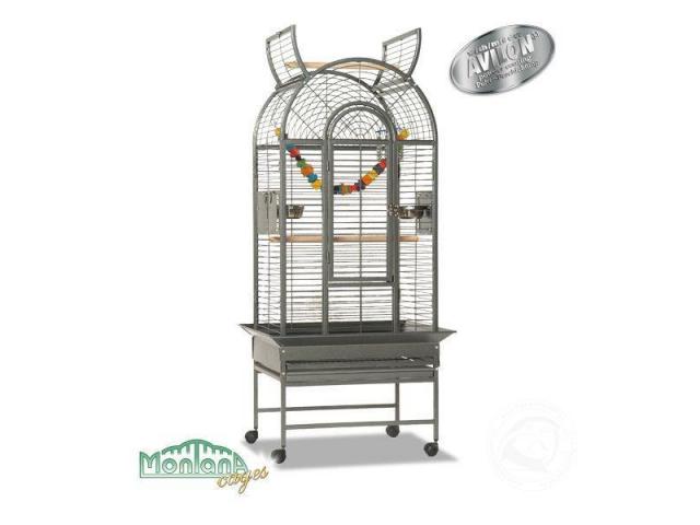 Photo haiti - perroquet cage platinium image 2/3