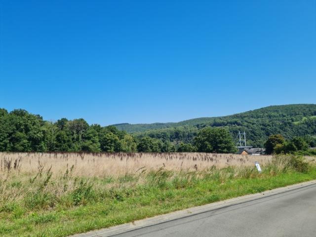 Photo Hastière - Agimont : magnifique terrain de 51 ares, rue très calme. image 2/4