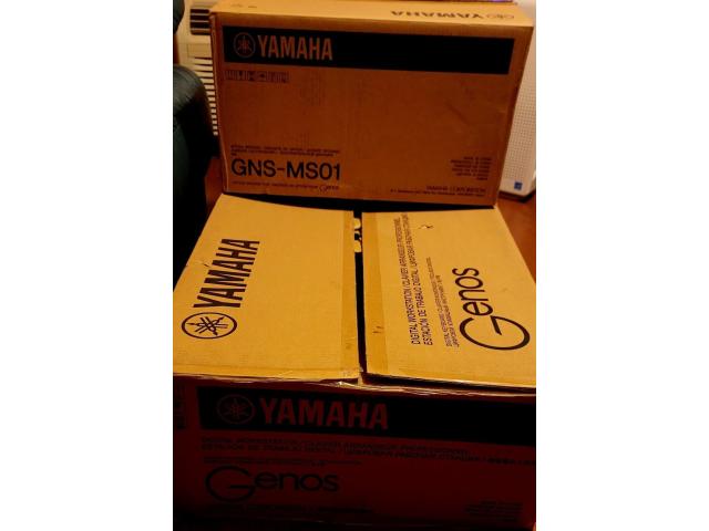 Photo Haut-parleurs Yamaha Genos Digital Workstation MS-01 image 2/4