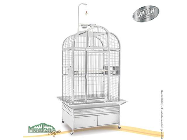 Photo Heidelberg perroquet cage image 2/3