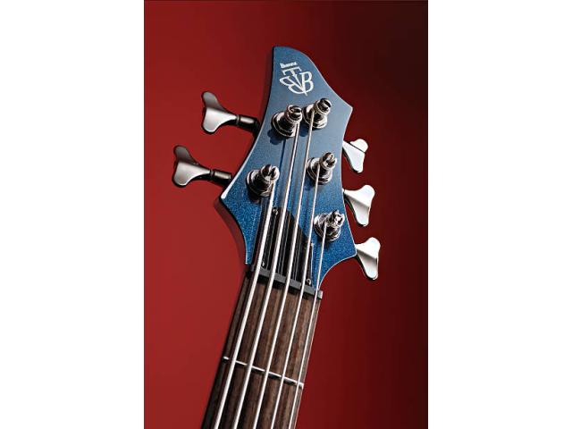 Photo I record bass guitar for your song bass session musician image 2/6