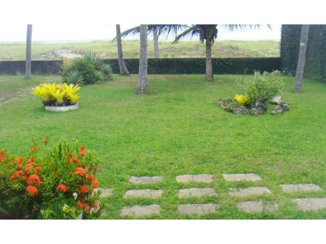 Photo JE PROPOSE MES SERVICES DE JARDINAGE image 2/2