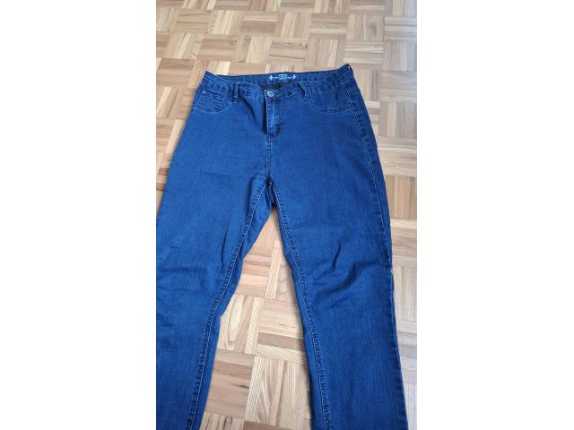 Photo Jeans Zebra Denim Collection image 2/4