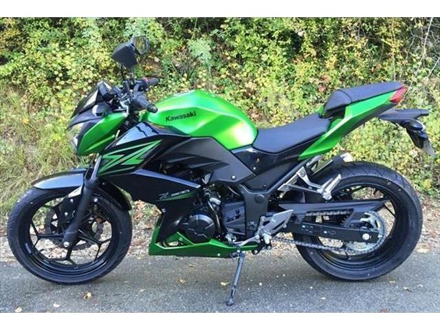 Photo Kawasaki Z300 ABS image 2/2
