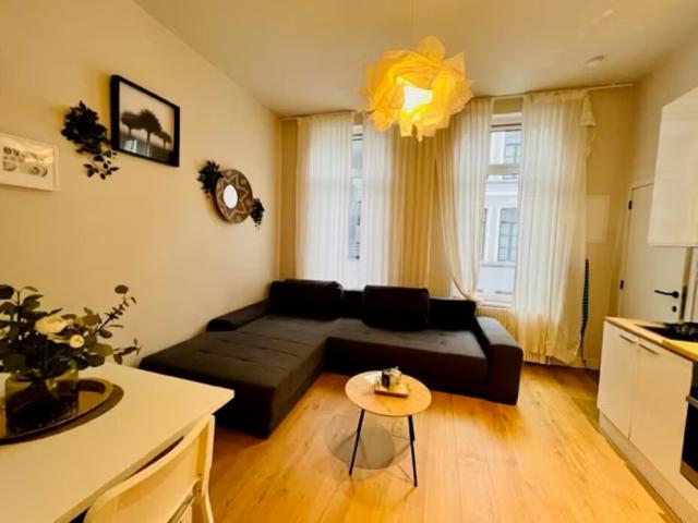 Photo Location bel appartement 2 pièces 50m² entièrement meublé image 2/4