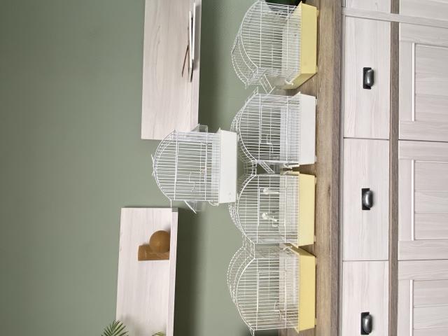 Photo Lot de 5 cages image 2/2