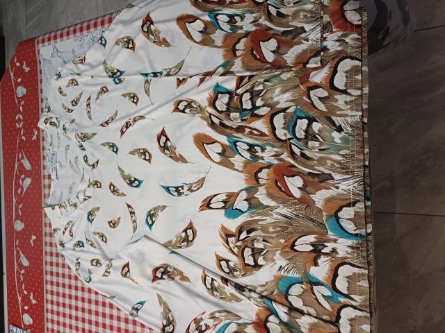 Photo Lot vêtement Femme image 2/6