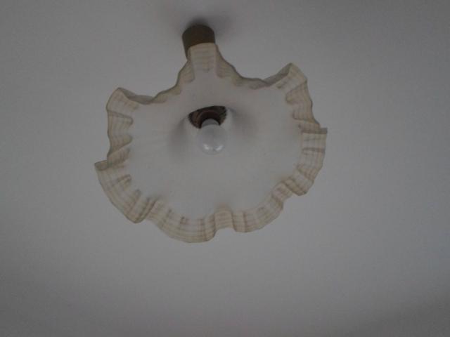 Photo lustre image 2/2