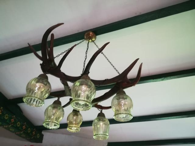 Photo LUSTRE EN CORNE DE CERF VERITABLE image 2/3