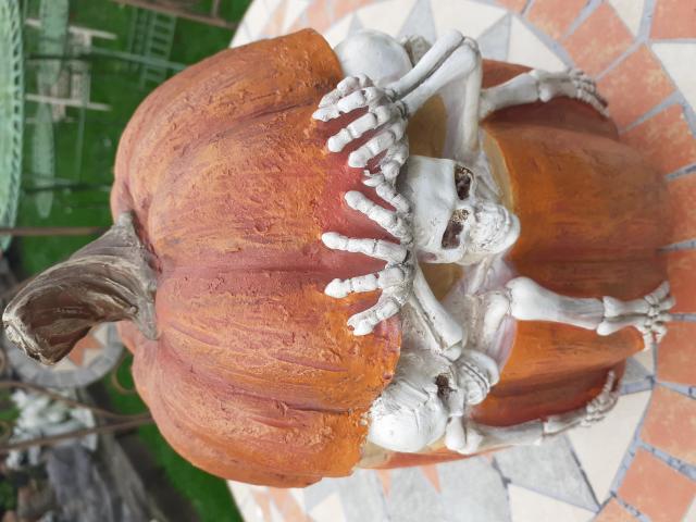 Photo Magnifique citrouille d'Halloween en poly résine image 2/6