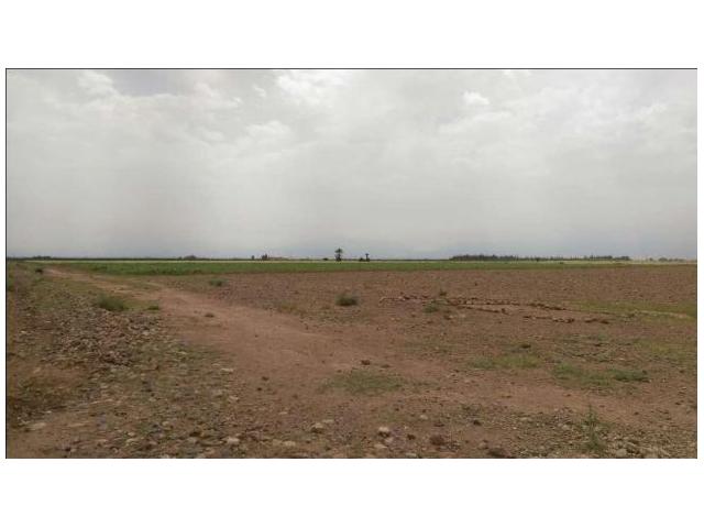 Photo Magnifique terrain 5 hectares KM 14 Ourika image 2/3