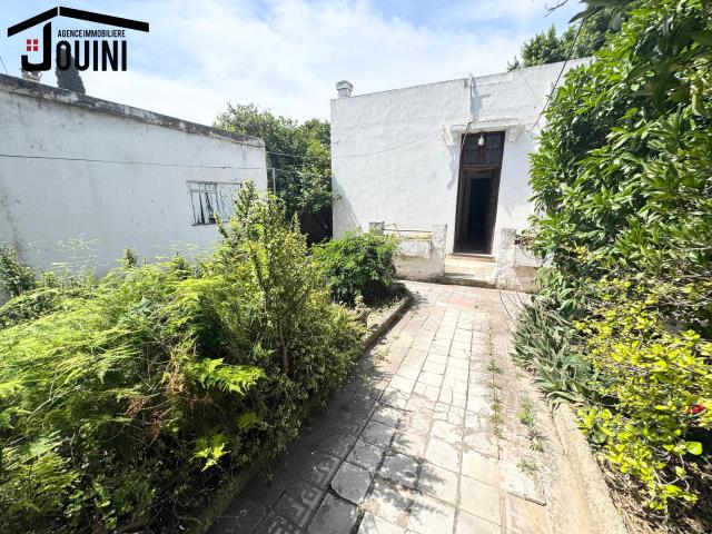 Photo Maison 450 M² à Bellevue Tunis image 2/6