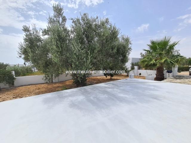 Photo Maison Alma 2 AL2667 Hammamet image 2/6