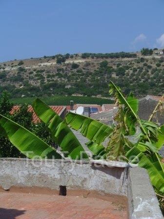 Photo Maison avec jardin et terrasse panoramique (Sa Cariasa) image 2/6