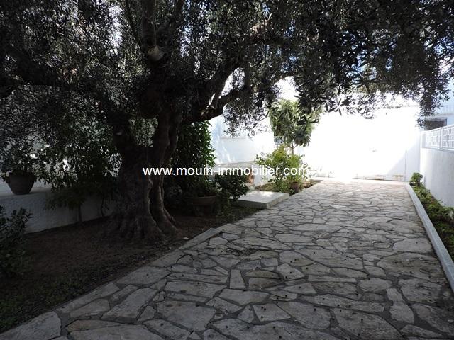 Photo Maison Des Arcs AL1937 Hammamet image 2/6