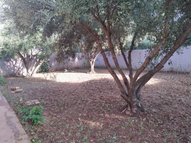 Photo maison en location route de l'ourika image 2/2