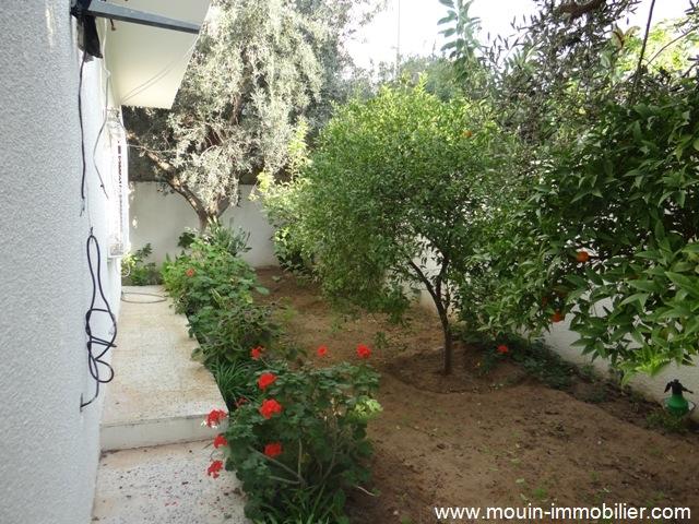 Photo Maison Essalam ref AL1213 Hammamet image 2/6