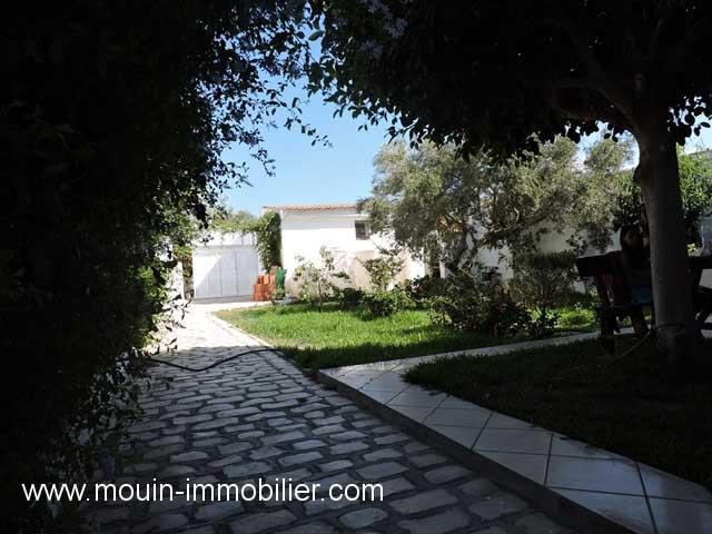 Photo MAISON LEILA Birbouregba AL1748 image 2/6