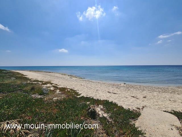 Photo MAISON ROSETTE El Maamoura AV1533 image 2/6
