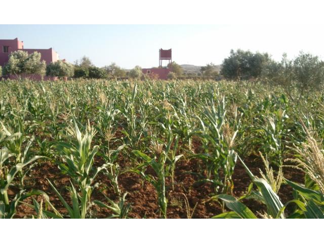 Photo maison sur terrain de 1 hectare image 2/6