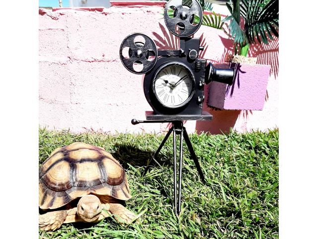 Photo Mâle 7 ans Sulcata image 2/2