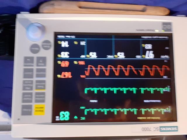 Photo materiel pour veterinaire image 2/4