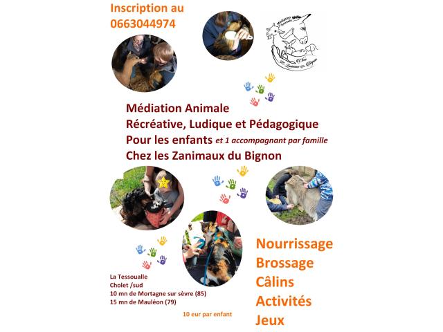 Photo Médiation Animale  les Zanimaux du Bignon image 2/6
