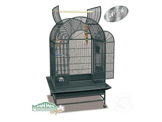 Photo Miami Perruches cage platinium image 2/3