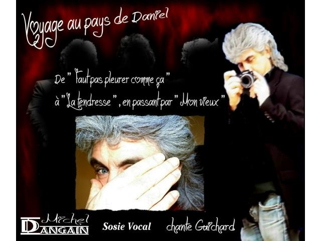 Photo Michel Dangain chante Guichard : hommage à Daniel Guichard image 2/2