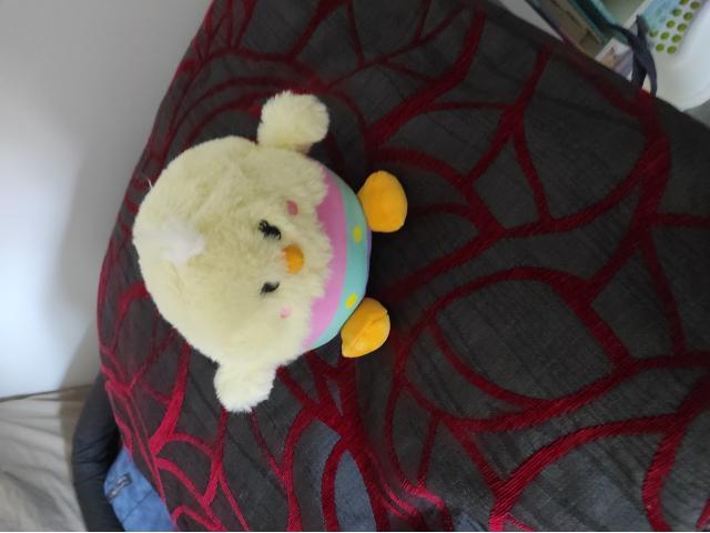 Photo Nounours de toute sorte et de taille image 2/6