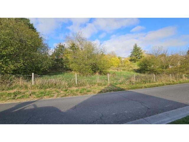 Photo NOUVEAUTÉ - TERRAIN À VENDRE de 22 ares | MALONNE (NAMUR) ????✨ image 2/6