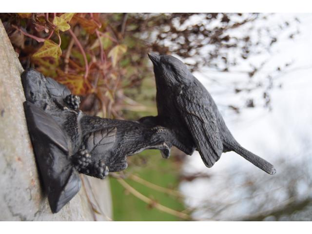 Photo OISEAU EN BRONZE image 2/6