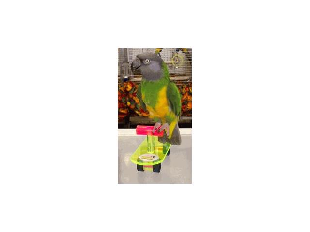 Photo parrot skate board image 2/3