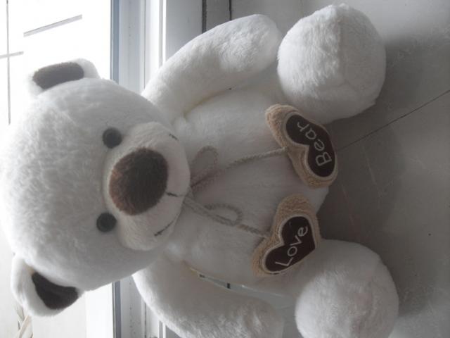 Photo Peluche Ours blanc image 2/2