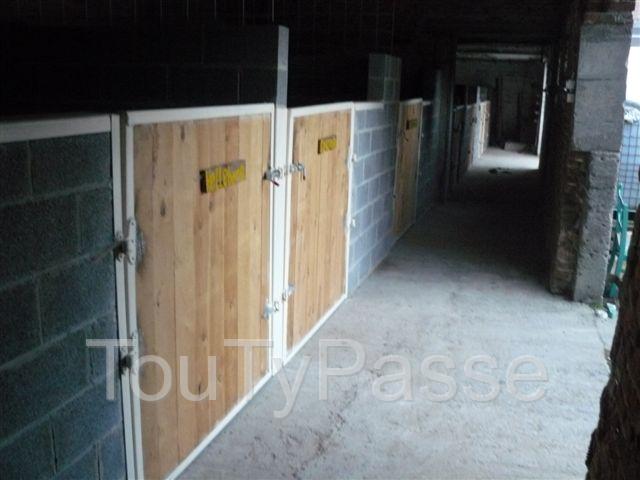 Photo pension tout confort pour chevaux (8 km de Tournai) Velaines image 2/6