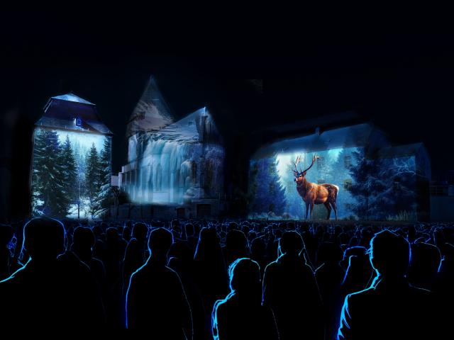 Photo Pôle Lumière - Spectacle monumental alliant artistes et vidéo-mapping image 2/6