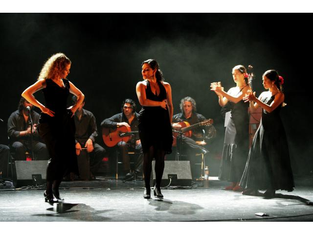 Photo Prestations/Animations Flamenco à Paris et France entière image 2/4
