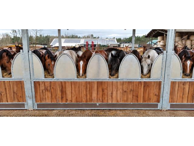Photo Râtelier à foin pour chevaux & Râtelier intégré dans un Abri | Abri pour chevaux image 2/6