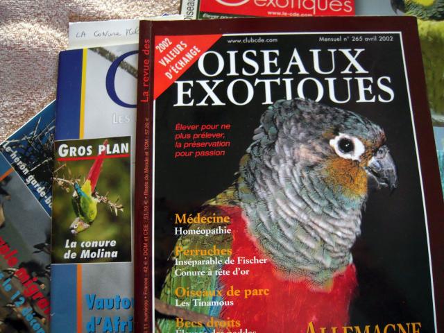 Photo Revue sur les PSITTACULAS les Lorius TRIMESTRIELLE ( mutations colorées etc documentations, revue 90 image 2/6