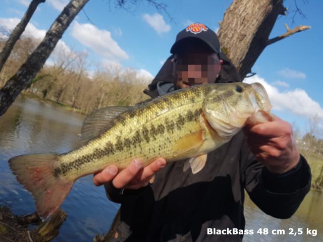 Photo ✅ 2 Etangs privés & naturels - Petit club - Poissons diversifiés image 2/6