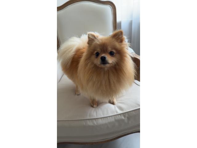 Photo Saillie image 2/2