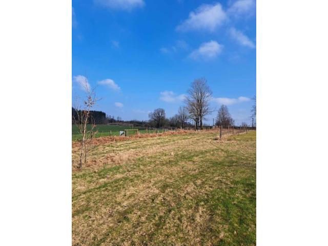 Photo SAINT-MEDARD (Herbeumont) : Beau terrain, au calme, +- 20a – VAS1467 image 2/2