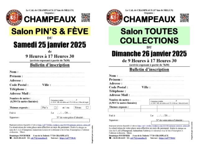Photo Salon du Pin’s & Fève à CHAMPEAUX (77) le 25/01/2025 image 2/2