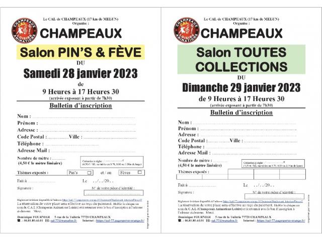 Photo Salon Multi-collections à CHAMPEAUX (77) le 29/01/2023 image 2/2