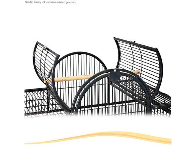 Photo San Remo 111 - perruches cage anthracite image 2/3