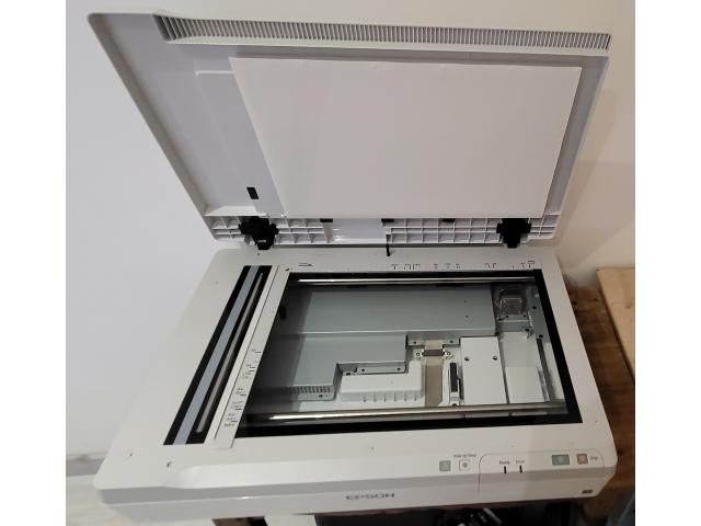 Photo Scanner A3 Professionnel Marque EPSON DS-50000 image 2/4