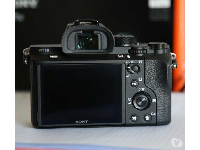 Photo SONY A7S II + 50MM F1.4 FE ZEISS image 2/4