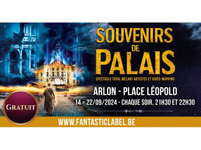 Photo Souvenirs de Palais - Spectacle monumental à Arlon image 2/3