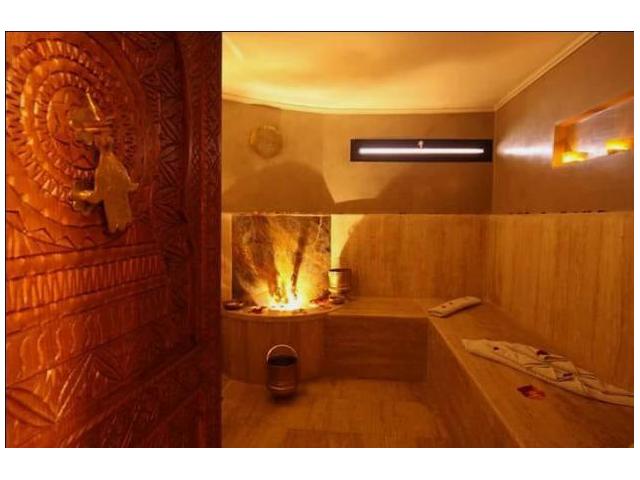 Photo SPA en activité  a vendre fond et mures image 2/6
