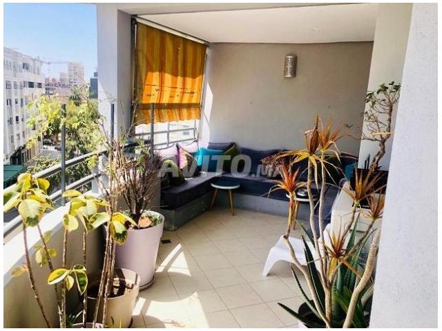 Photo SPLANDIDE APT RACINE 3CH 246m2 image 2/6